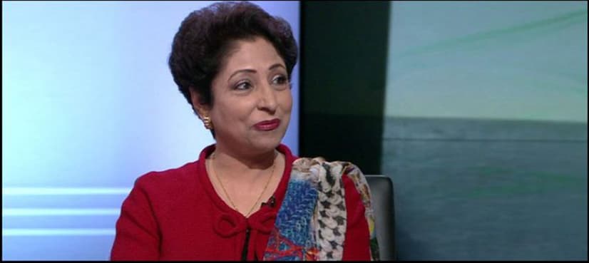 Maleeha assails India for 'mass blinding in occupied Kashmir'