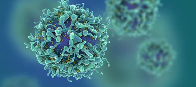 Researchers discover method of targeting cancer without destroying healthy cells