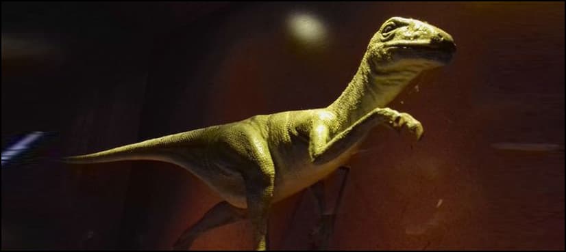 Mysterious dinosaur-like creature discovered with flesh still on its bones