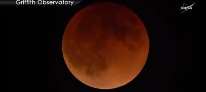 WATCH: Super blue blood Moon enthralls stargazers