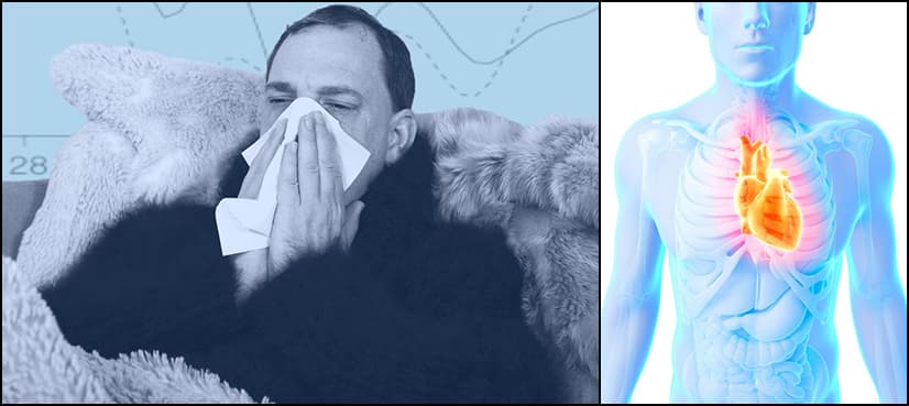 Flu increases the risk of heart attack: study