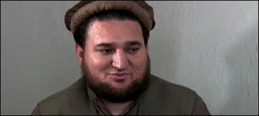 Law to take its course in Ehsanullah Ehsan's case, Senate told