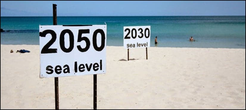 Sea level rise is accelerating: study