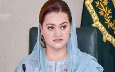 PTI reveals what relief did govt give to Marriyum Aurangzeb's husband