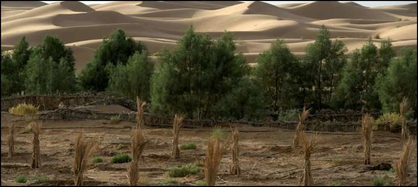 Scientists to publish first-ever global land health report
