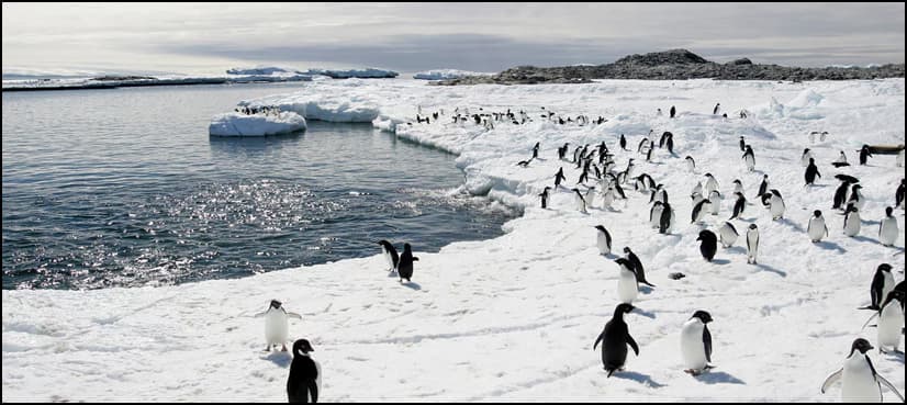 Antarctica: a laboratory for climate change