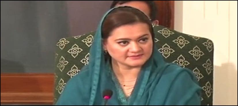 PML-N govt presented pro-people budget: minister