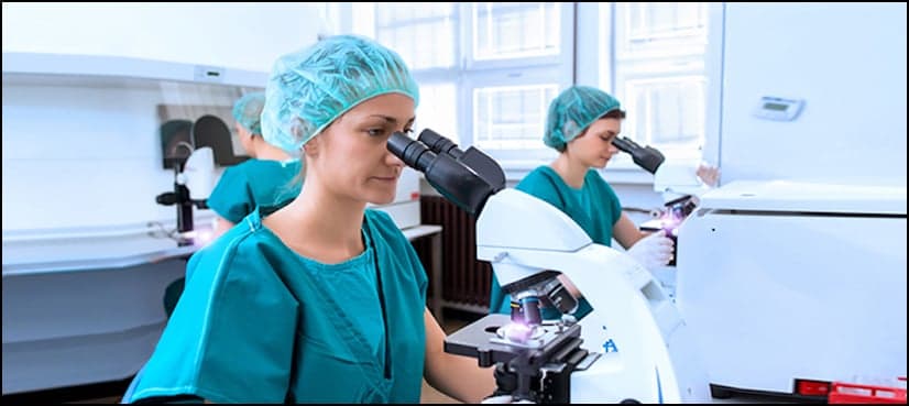 Overlooked 'organ' could play role in cancer spread