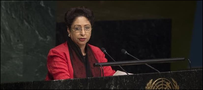 Pakistan calls for diplomatic solution of Palestine Issue  