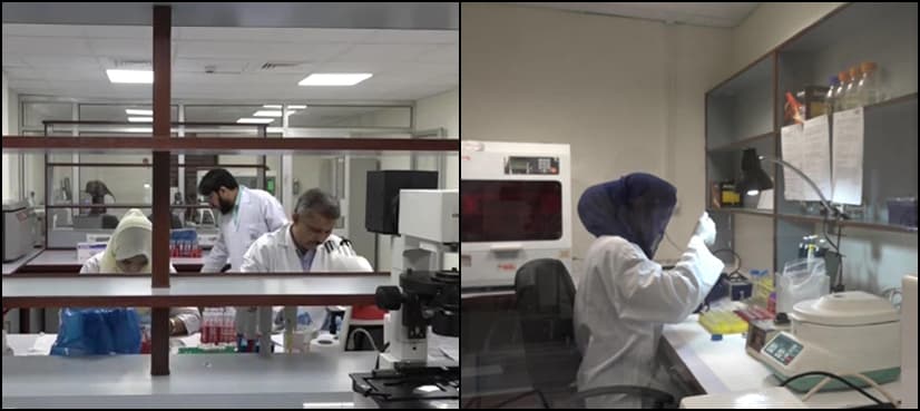 Pakistan’s first clinical transplant immunology lab opens
