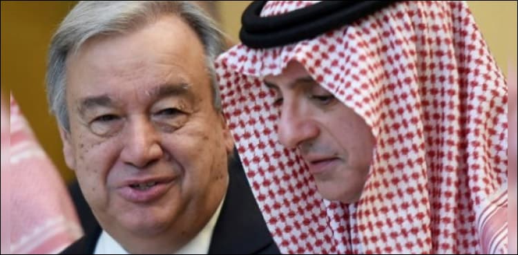 Saudi Arabia renews offer to deploy troops to Syria