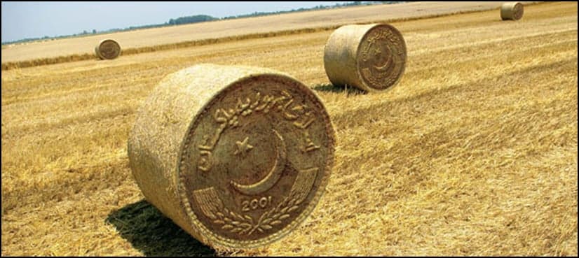 Pakistan's Agriculture sector sees highest growth in 13 years