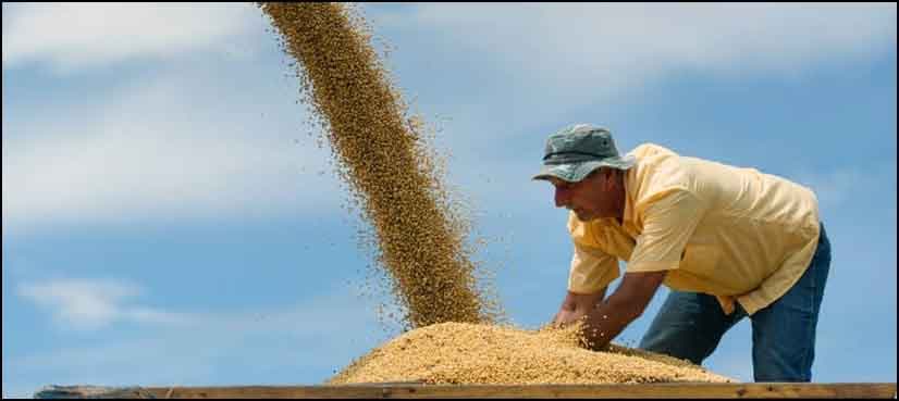 China plans to hit US soybeans, planes as trade war looms
