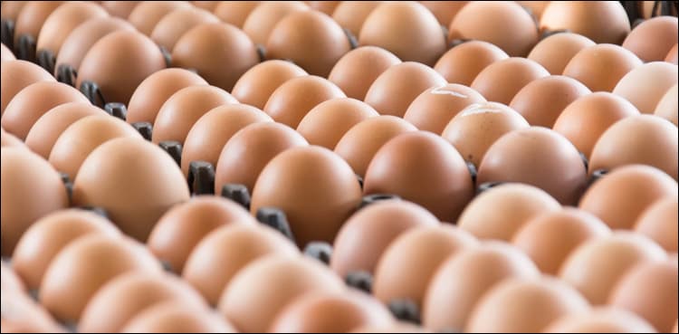 Over 207 million eggs in US states recalled over salmonella fears