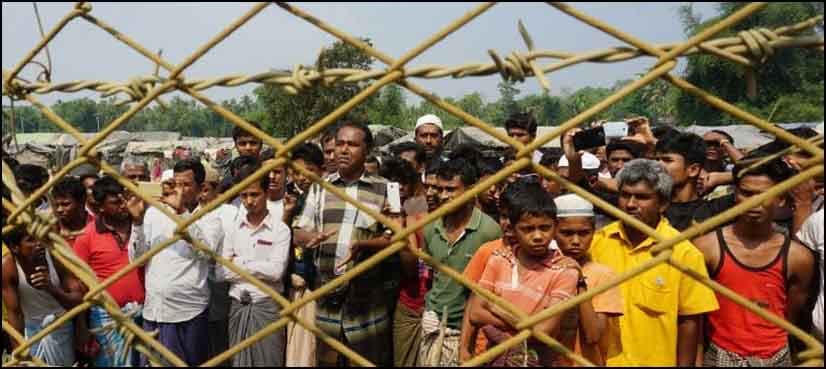 Canada should take in Rohingya refugees: special envoy