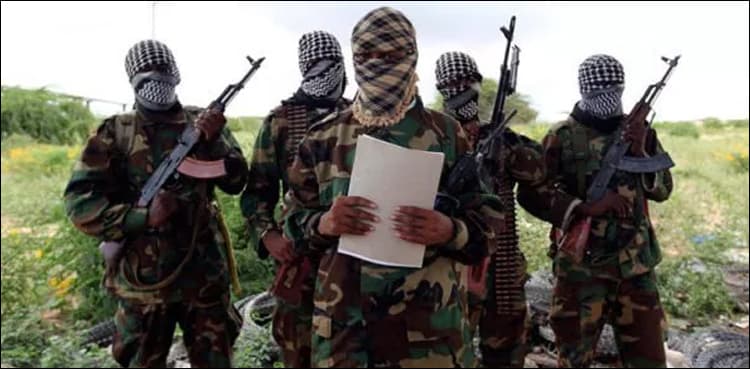 Boko Haram frees hundreds kidnapped in northeast Nigeria