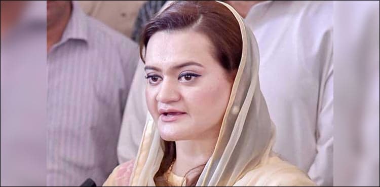 Information minister explains about ‘aliens’ in media talk