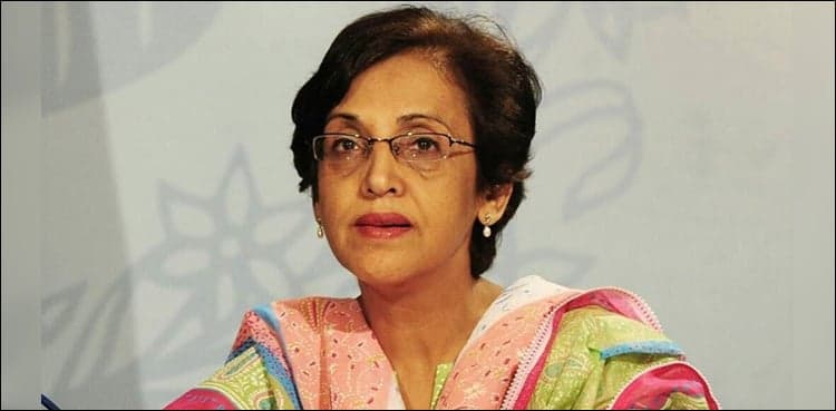 Pakistan calls for resolving Palestine, Kashmir issues according to UN resolutions