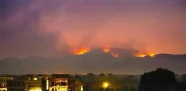 Army's help sought to douse Margalla Hills fire