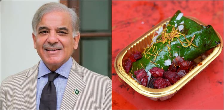 How politicians, 'Karanchi' citizens reacted to Shehbaz's 'pan-eaters' quip