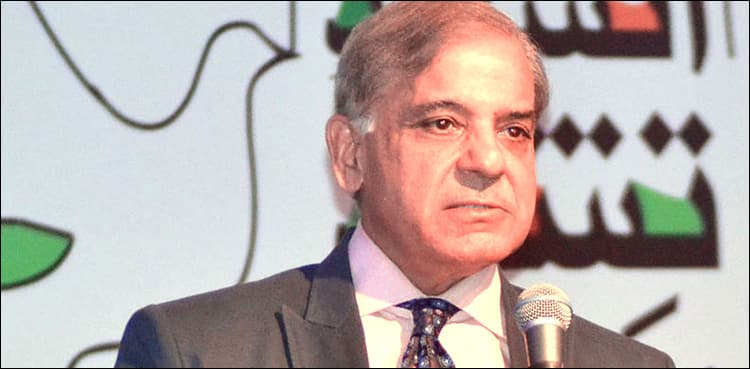 PML-N election campaign: Shehbaz vows to resolve major issues of Karachi