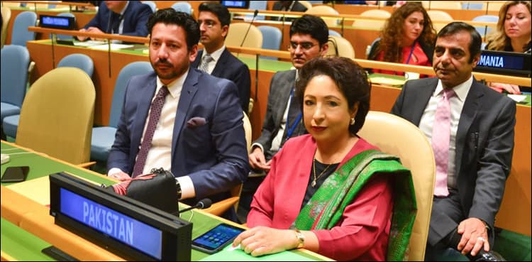 Pakistan elected to UN body ECOSOC for three-year term