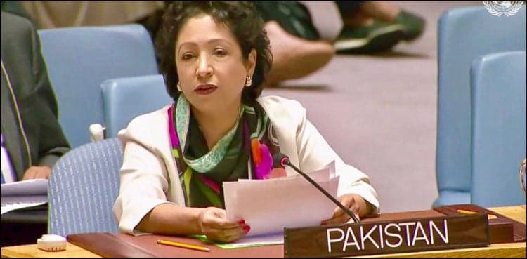 Recovery of stolen assets cornerstone of Pak’s new govt agenda, Lodhi tells UN body