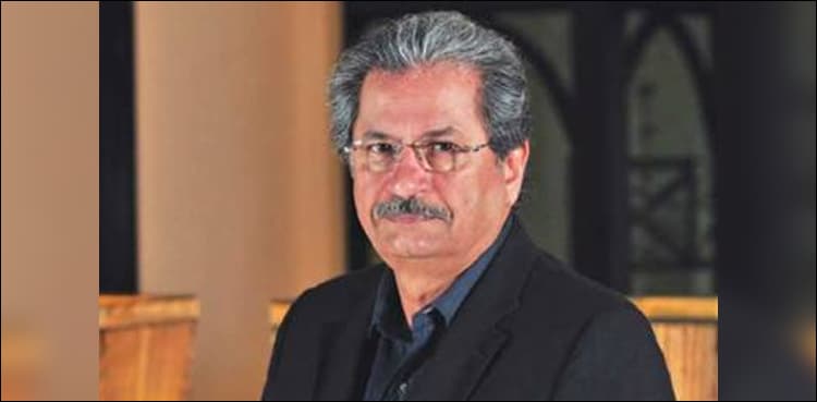 ‘We have to align our education with job market’:  Shafqat Mehmood