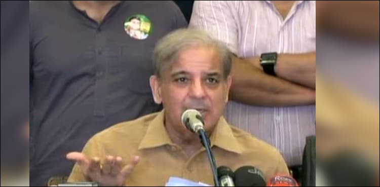 PML-N to remain neutral on NAB chief issue: Shehbaz