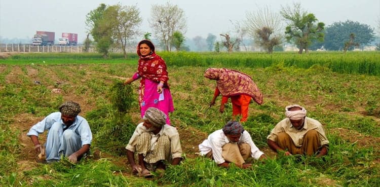 China to assist Balochistan in agriculture sector
