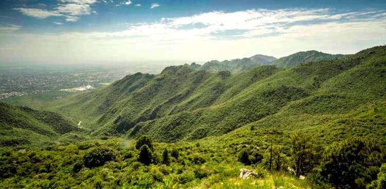 Volunteers launch 'Throw and Grow' tree plantation campaign in Islamabad