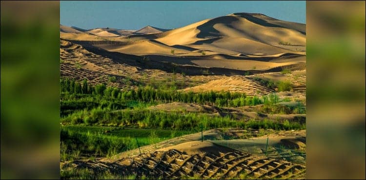 China's "Green Miracle"- Reforestation of Kubuqi Desert