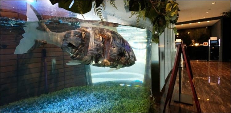 Robotel: Japan hotel staffed by robot dinosaurs