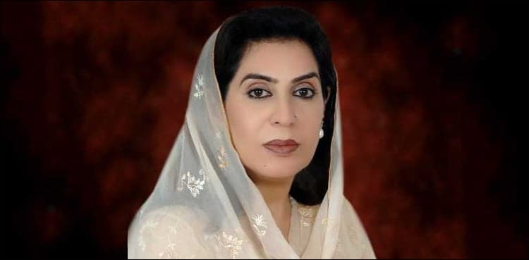 SHC stays vote recount in NA-230, PS-73