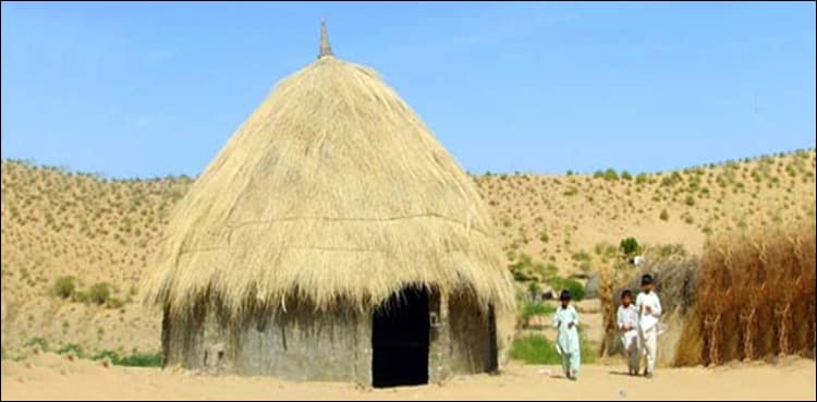 Wildlife officials arrest three in Thar for illegal hunting