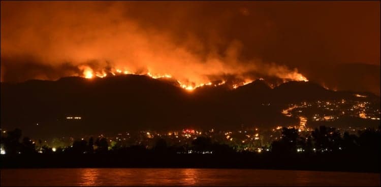 'Major transformation' ahead for Earth's ecosystems: study