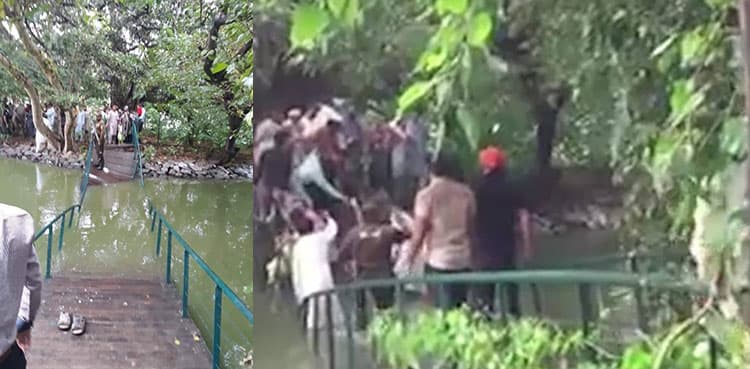 ‘Overcrowding’ collapses bridge at Punjab Governor House lake