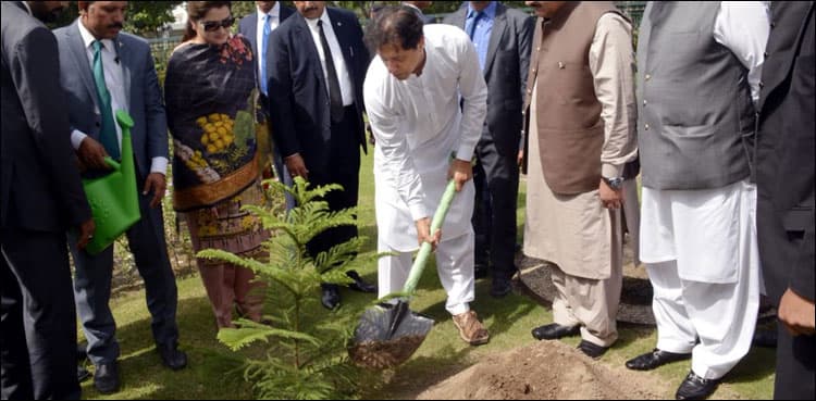 PM launches 'Plant for Pakistan' campaign