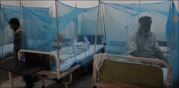 Three die, 150 affected due to dengue outbreak in Balochistan's district of Kech