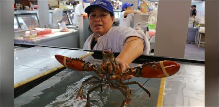 US-China trade war triggers seafood supply chain shake-up
