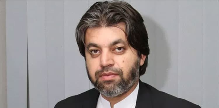 Effective measures afoot for revival of economy: Ali Muhammad
