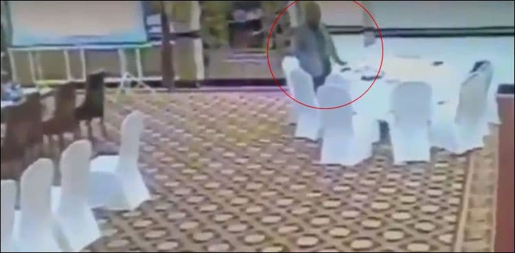 PPP seeks explanation from govt over bureaucrat's act of stealing wallet