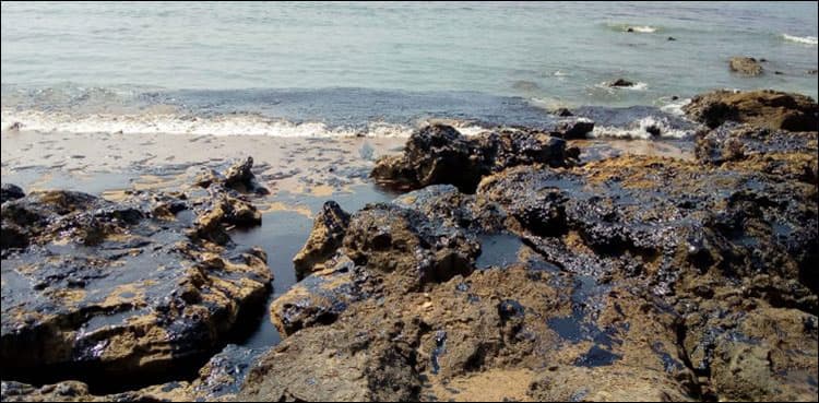 Crude oil from unknown source spreads over Gwadar coastline