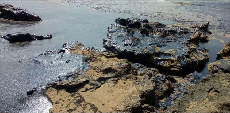 KPT team leaves for Mubarak Village to cleanup oil spill