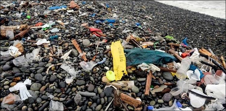 Plastics have entered human food chain, study shows