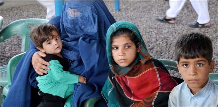 Pakistan, Afghanistan discuss refugees' repatriation