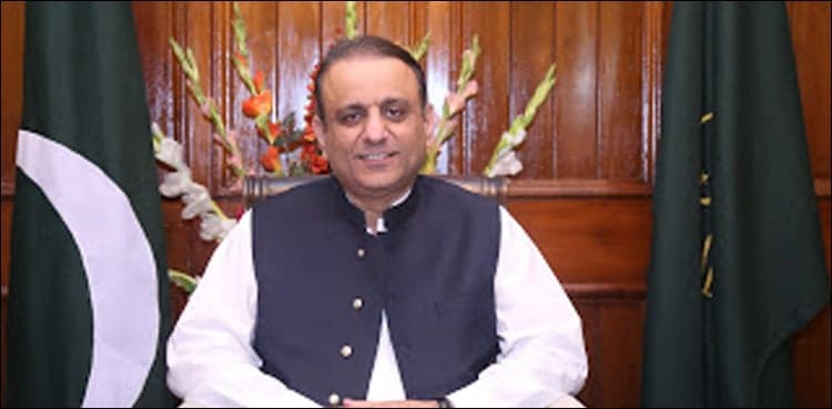 Best local government system to be introduced in Punjab soon: Aleem