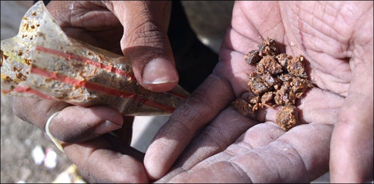 Govt informs SHC about enactment of law on Gutka ban