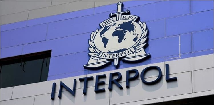 Five things to know about Interpol