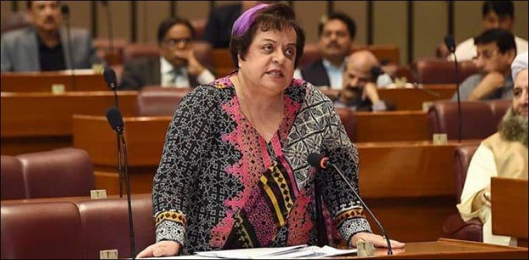 Govt campaigning to educate masses about women's inheritance rights: Mazari
